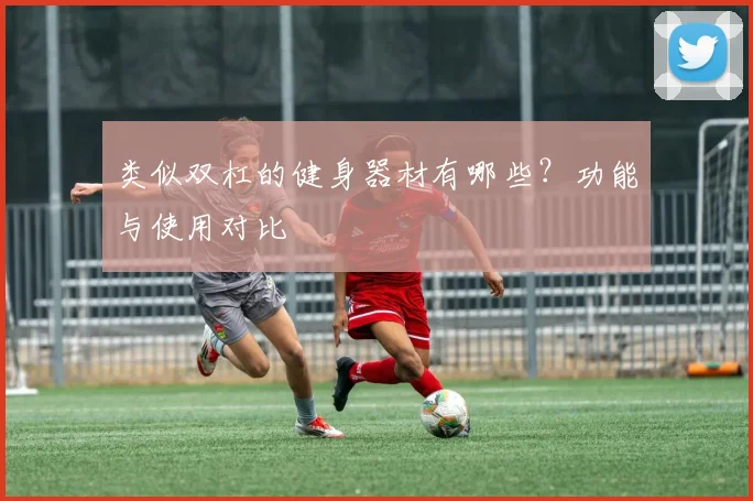 类似双杠的健身器材有哪些？功能与使用对比