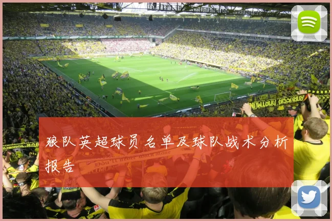 狼队英超球员名单及球队战术分析报告