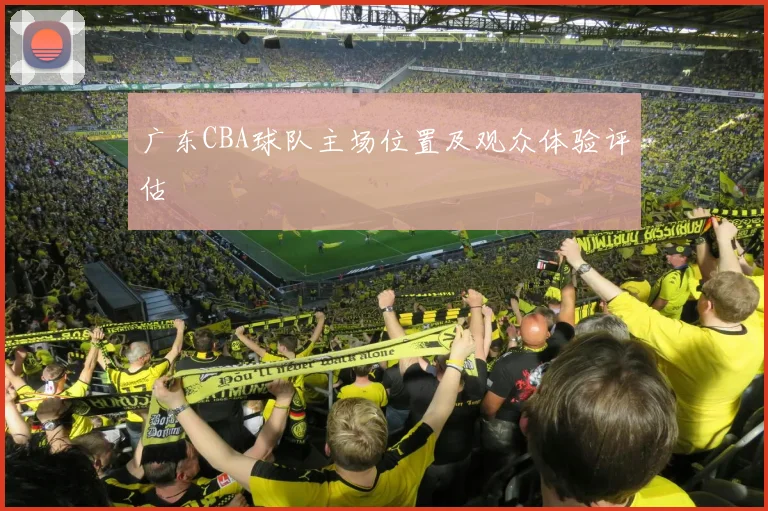 广东CBA球队主场位置及观众体验评估