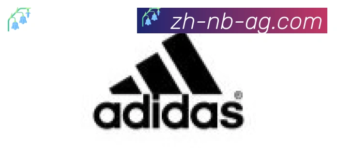 AG娱乐登录合作伙伴